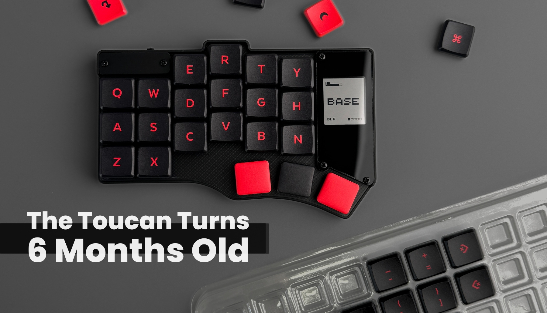 The Toucan Keyboard Turns 6 Months Old — beekeeb.com